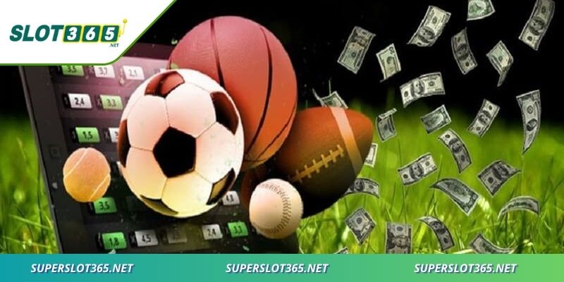 Cá cược thể thao là thị trường đầy sức hút và tiềm năng