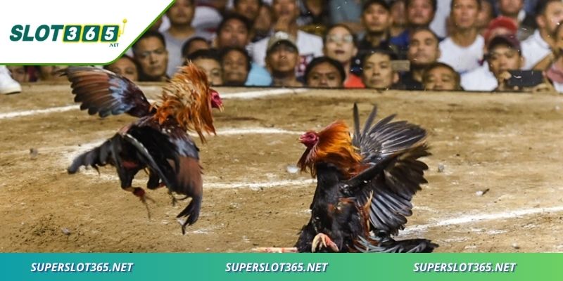 Các tính năng hiện đại giúp trải nghiệm thêm phần hấp dẫn