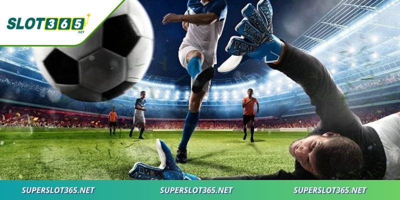 Lợi ích và thách thức cho thấy góc nhìn toàn diện về loại này