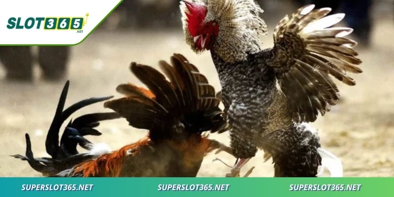 Xu hướng toàn cầu hóa đưa trò chơi truyền thống lên tầm mới